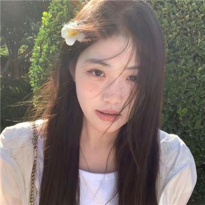 睡莲